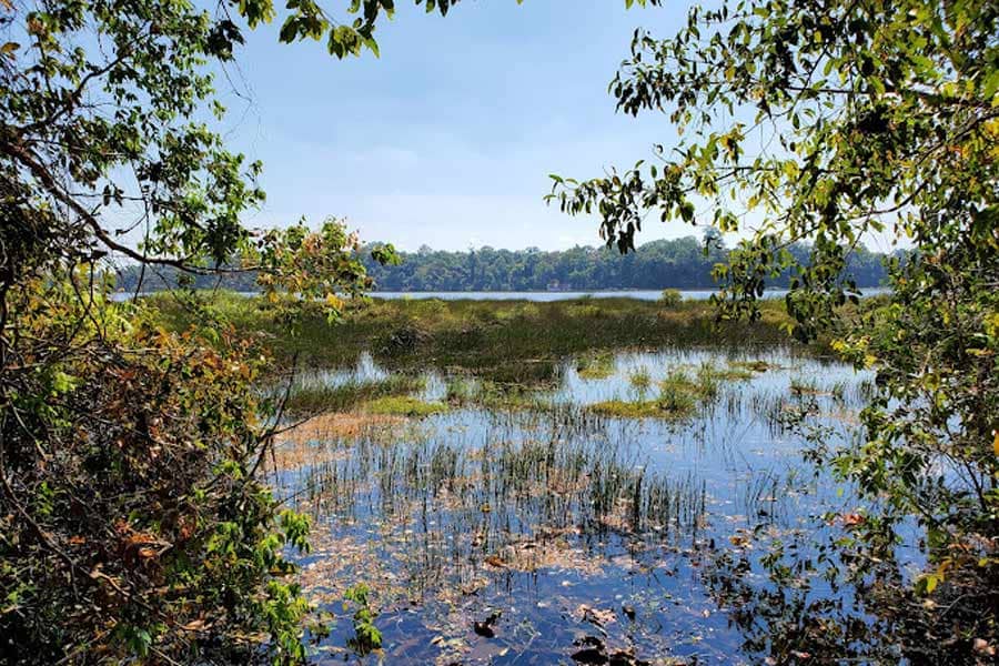 Dong Natad Provincial Protected Area exploration with go laos tours (1)