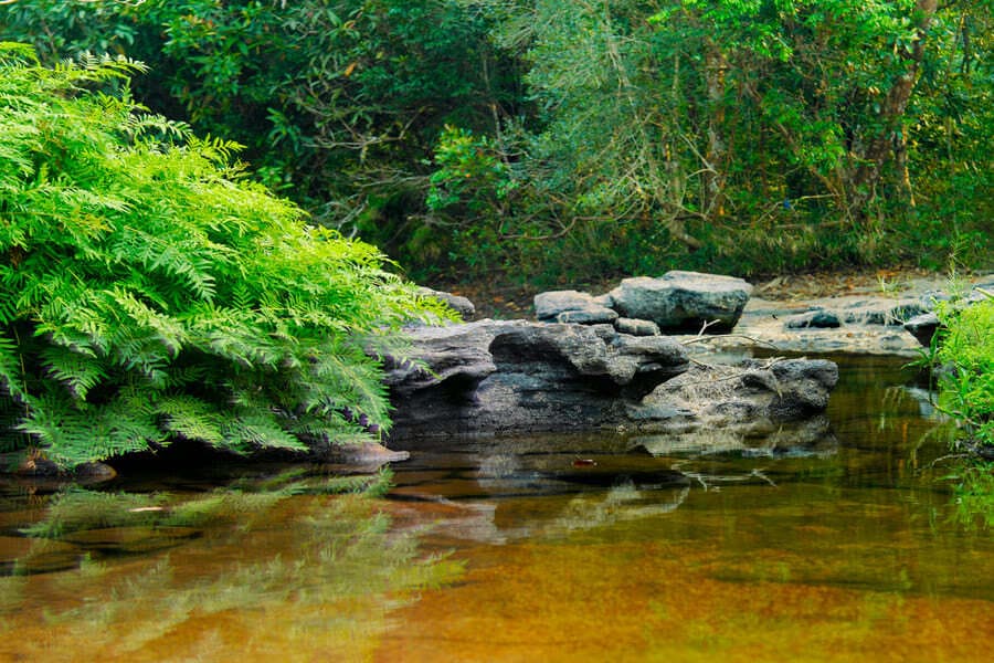 Phou Khao Khouay National Biodiversity Conservation Area laos tours guide