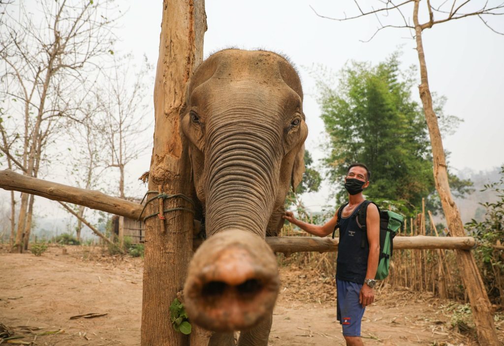 Laos Tours