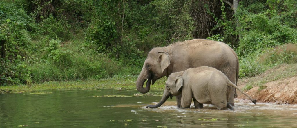 Laos Tours